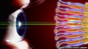 英科学家借3D“打出”眼细胞 有望治疗失明症