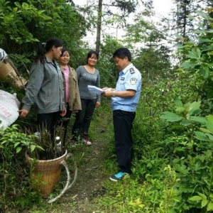 贵州省德江县人民检察院保护生态环境检察建议取得实效