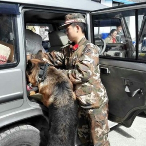 西藏亚东边检站首次采用警犬检查出入境车辆