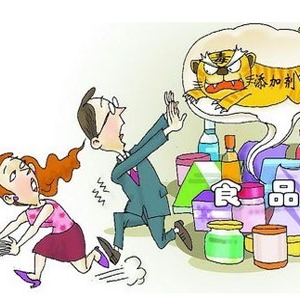 中国食药监总局副局长：食品添加剂不是“猛虎”