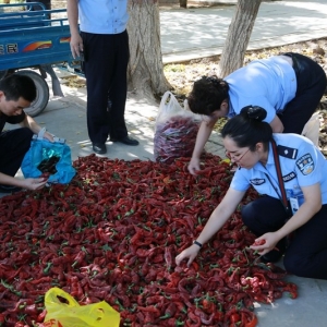 新疆喀什教育矫治局（强制隔离戒毒所）从优待警建好“菜园子”